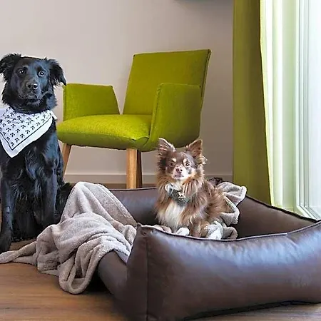 فندق Schnitzers Dahoam - Hundefreundlich باد ويسي