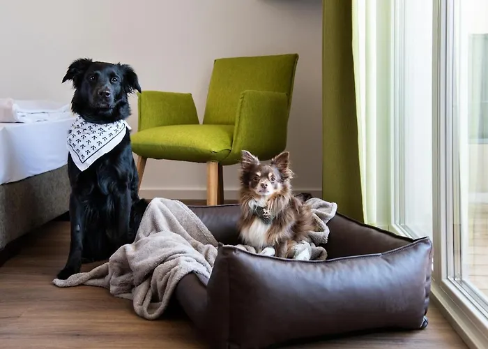 Schnitzers Dahoam - Hundefreundlich